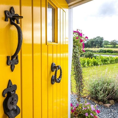 Katie'S Cottage Bellaghy Zewnętrze zdjęcie
