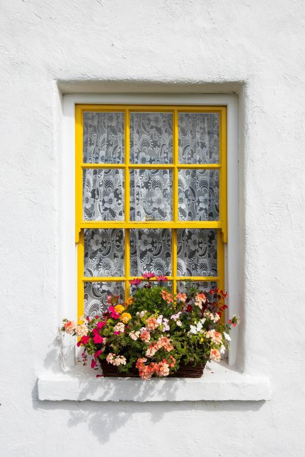 Katie'S Cottage Bellaghy Zewnętrze zdjęcie