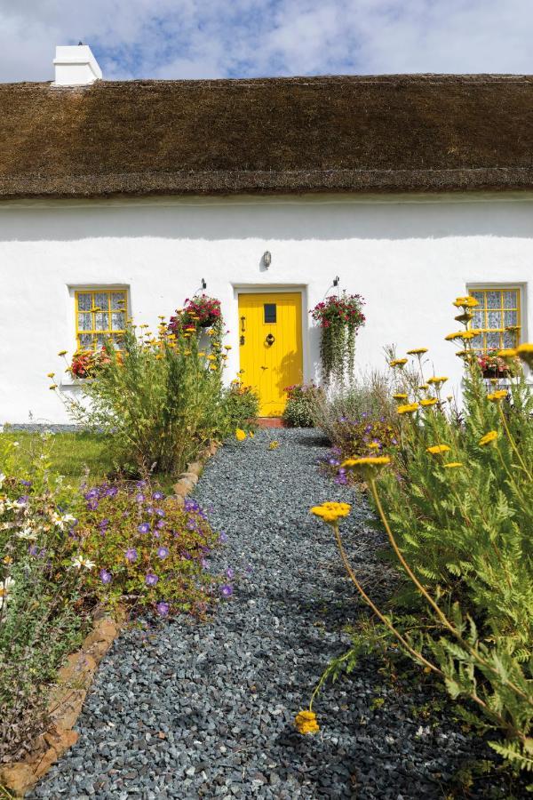 Katie'S Cottage Bellaghy Zewnętrze zdjęcie
